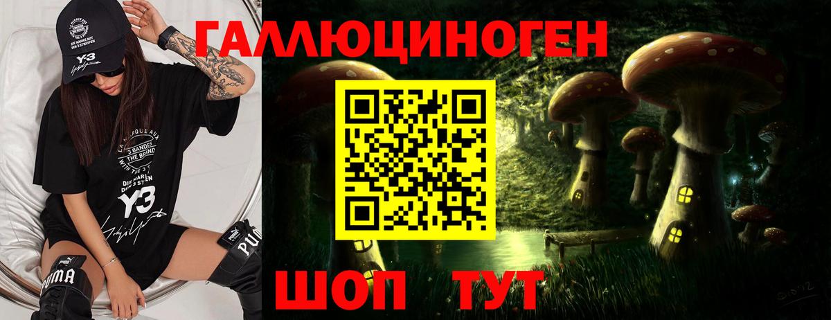 Медногорск  Галлюциногенные грибы Psilocybine cubensis  Вход с VPN 