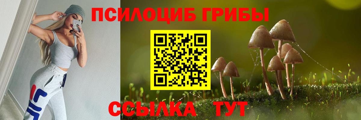 Псилоцибиновые грибы Magic Shrooms Медногорск